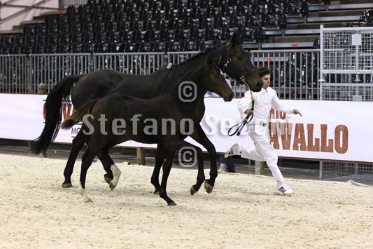 PRINCESS LIESA_MILANO_2010_SS3_7447.jpg